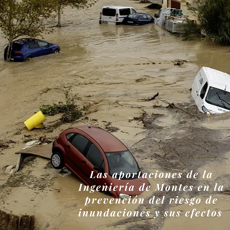 Las aportaciones de la Ingeniería de Montes en la prevención de inundaciones y sus efectos