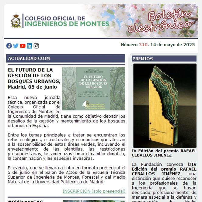 Publicado el Boletín Informativo número 310