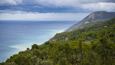 MEDfOR – Educando a los líderes del mañana en la selvicultura mediterránea