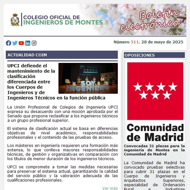 Publicado el Boletín Informativo número 311