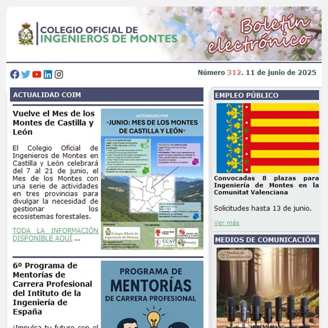 Publicado el Boletín Informativo número 312