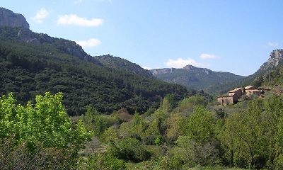La Generalitat crea una entidad para agilizar la certificación forestal sostenible