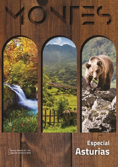Revista Montes 