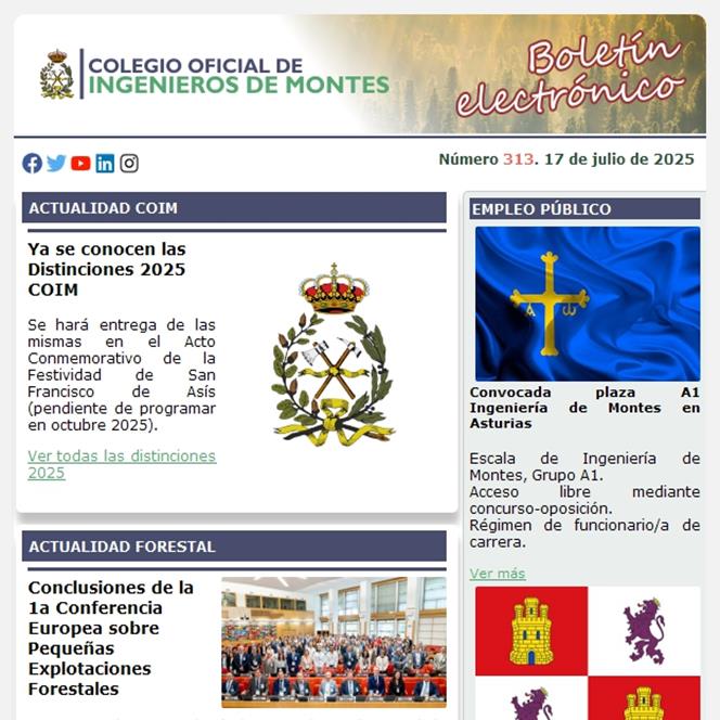 Publicado el Boletín Informativo número 313