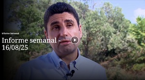 Informe semanal TVE - 16 de agosto