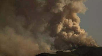 Las recetas del rural contra los incendios: más incentivos, más ganaderos y montes mosaico