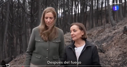 Especial Incendios Telediario2 RTVE - 3 de septiembre