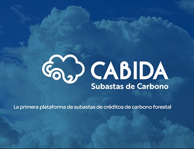 CABIDA: la nueva plataforma española de subastas digitales de créditos de carbono forestal 