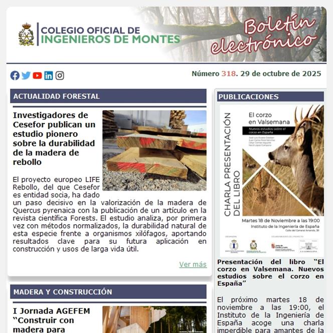 Publicado el Boletín Informativo número 318