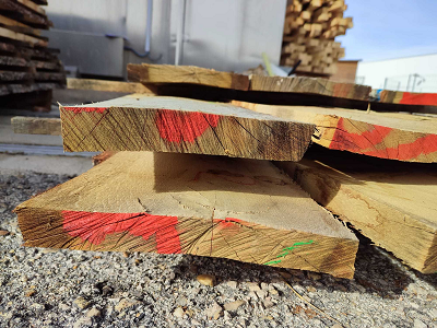 Investigadores de Cesefor publican un estudio pionero sobre la durabilidad de la madera de rebollo