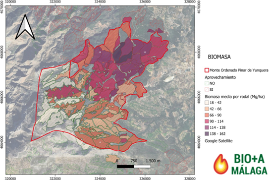 Armonización e interoperabilidad de datos forestales en la Sierra de las Nieves (Málaga): desarrollo del SIG Bio+A