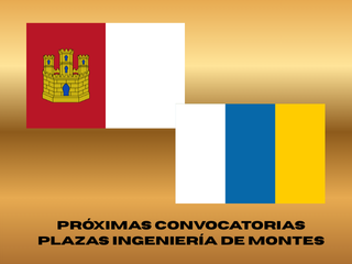 Próxima convocatoria de 5 plazas para Ingeniería de Montes en Castilla - La Mancha y Canarias