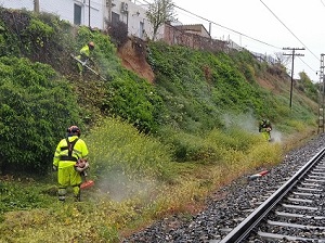 Ingenieros afirman que el tren 
