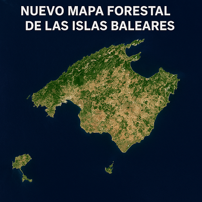 Baleares inicia los trabajos de su nuevo mapa forestal