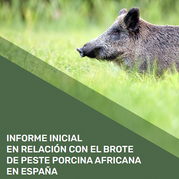 Publicado el Informe Inicial del brote de peste porcina africana en España