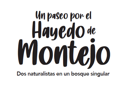 Preventa de la novela gráfica 