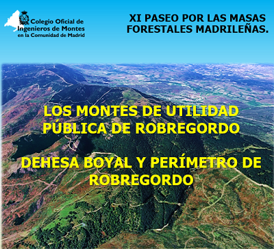 XI PASEO POR LAS MASAS FORESTALES MADRILEÑAS. Robregordo