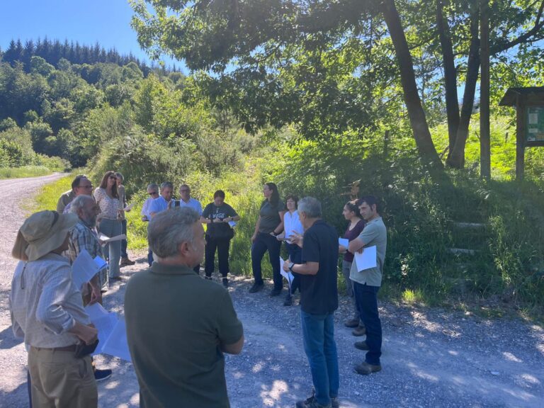 La Junta de Decanos del COIM visita una parcela del GO Coníferas+ en los montes de Barazar