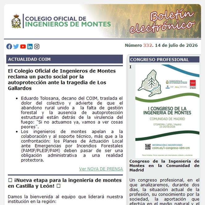 Publicado el Boletín Informativo número 332