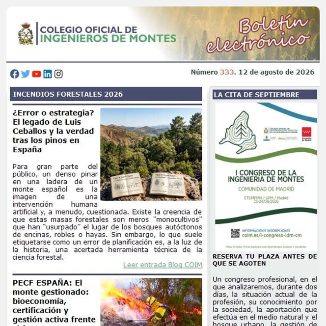 Publicado el Boletín Informativo número 333