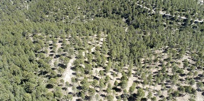 La Región de Murcia culmina la restauración de la Sierra de Lavia en Cehegín