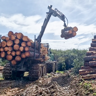 Castilla-La Mancha impulsa la modernización del sector forestal con 2,4 millones de euros en ayudas a inversiones productivas