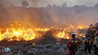 Curso básico de introducción a las quemas prescritas como herramienta de gestión preventiva de incendios forestales 