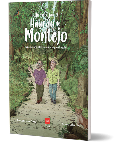 Novela gráfica 