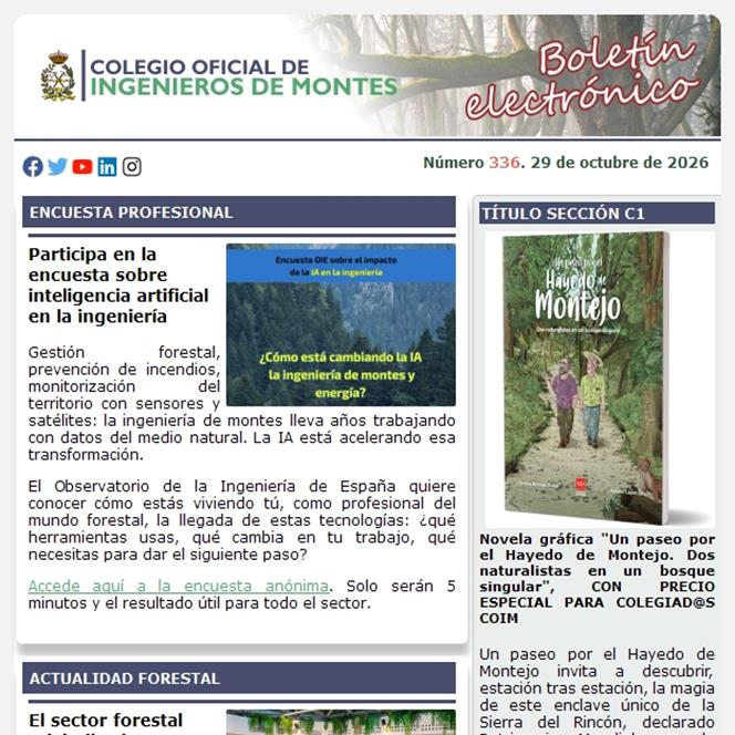 Publicado el Boletín Informativo número 336