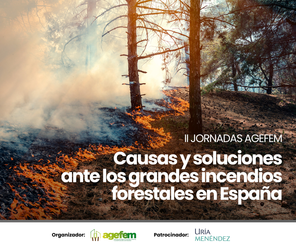 II Jornadas AGEFEM: «Causas y soluciones ante los grandes incendios forestales en España»