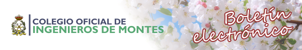 Cabecera del Boletín Electrónico nº 328. 11 de mayo de 2026