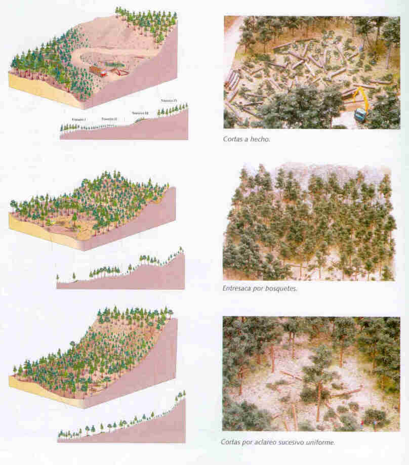 Foto panel