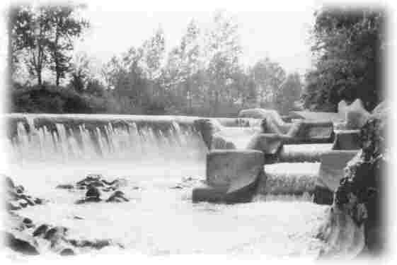 Escala Salmonera de Puente Viesgo