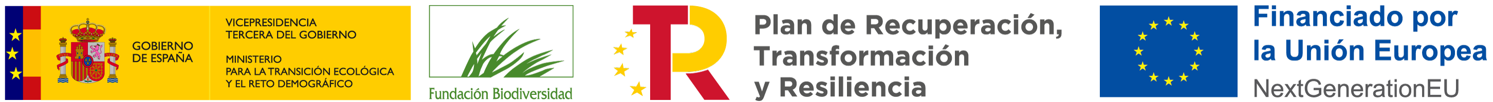 Logos Oficiales