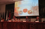 Apertura de la jornada. De izquierda a derecha: Tomás Fernández-Couto, Carlos del Álamo, Javier Gómez y Ricardo Vélez.