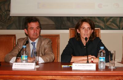 Teresa Ribera durante su intervención en la Jornada. A la izquierda, Carlos del Álamo