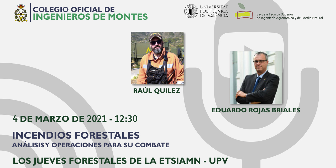 Conferencia on-line "Incendios Forestales. Análisis y Operaciones para su Combate"