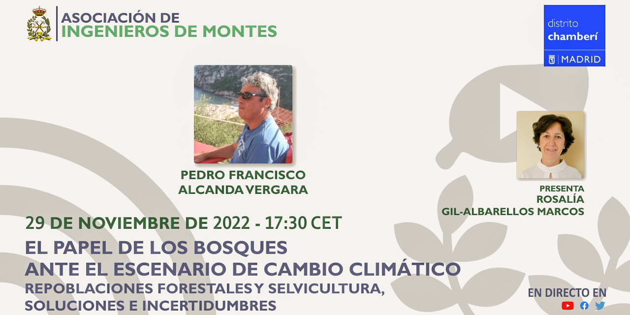 Seminario web "El papel de los bosques ante el escenario de cambio climático". Martes 29 de noviembre