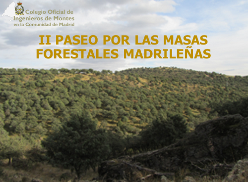 "LA DEHESA DE MONCALVILLO, UN EQUILIBRADO MODELO DE GESTIÓN FORESTAL Y GANADERO EN SAN AGUSTIN DE GUADALIX"
