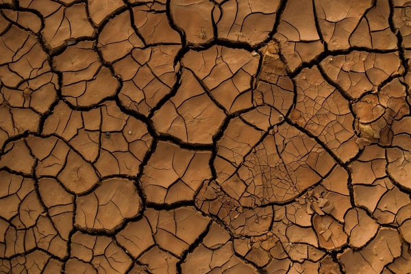 Las zonas húmedas de la Tierra podrían descender un 74 % para finales de siglo
