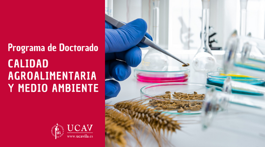 Nuevo programa de Doctorado de la Universidad Católica de Ávila