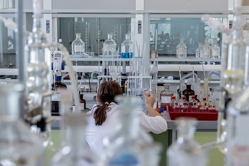 Bioproductos obtenidos a partir de jara pringosa pueden ser sustitutivos de compuestos químicos y de origen fósil