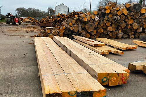 Investigan sobre el comportamiento de la madera de castaño verde en construcción