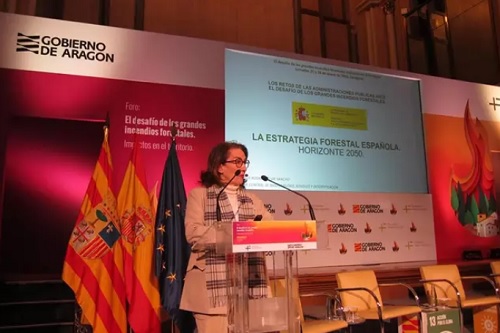 España posee 28 millones de hectáreas forestales, pero solo el 20% cuenta con instrumentos para su buena gestión