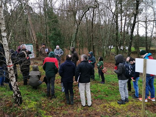 ForManRisk.- Los pinares dunares de Galicia ante el reto del cambio climático