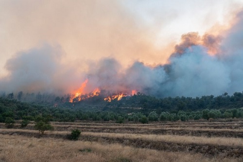 FIRE-ADAPT, un proyecto que investigará cómo la gestión integral del fuego contribuye a la biodiversidad, carbono y valores culturales