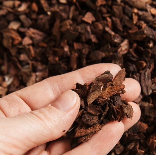Producción de taninos a partir de subproductos de corteza de pino blanco local