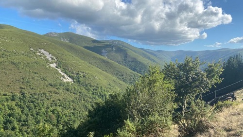 El sector forestal de Cantabria traslada a los partidos políticos una veintena de medidas "urgentes"