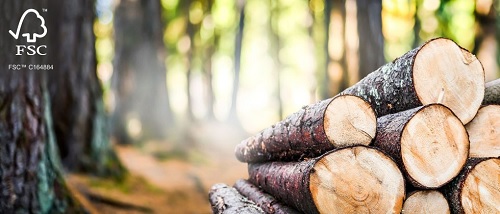 La superficie forestal certificada FSC en España aumentó un 39% en 2022
