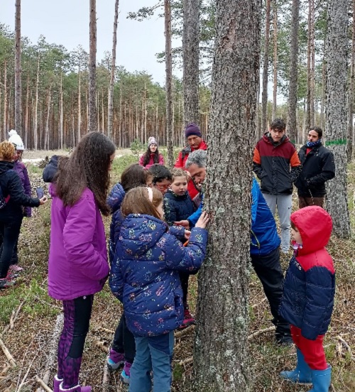 Más de 150 personas celebraron el primer Día de los Montes en Castilla y León